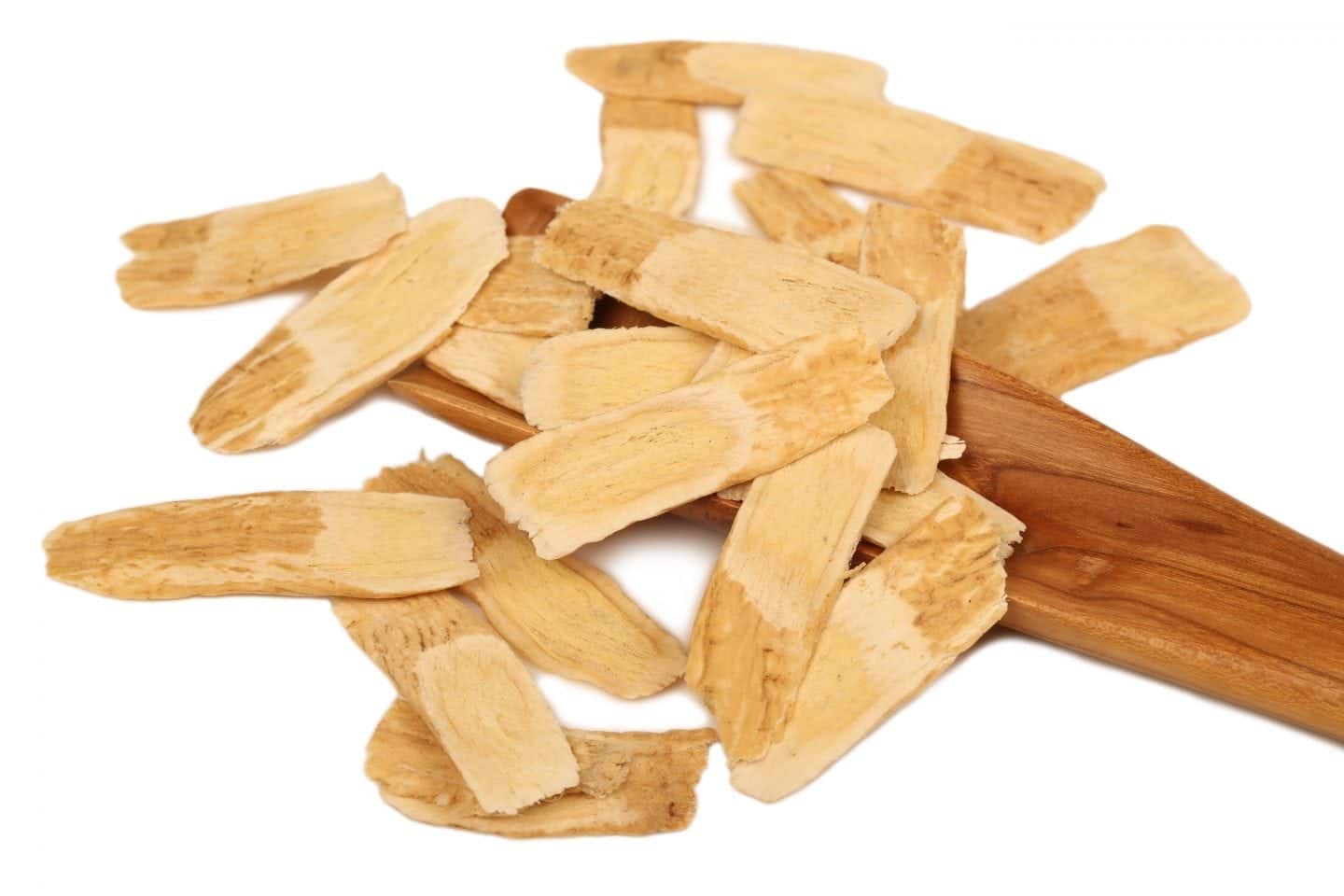 Read more about the article Astragalus Root: Combat Disease, Inflammation, and Chronic Fatigue