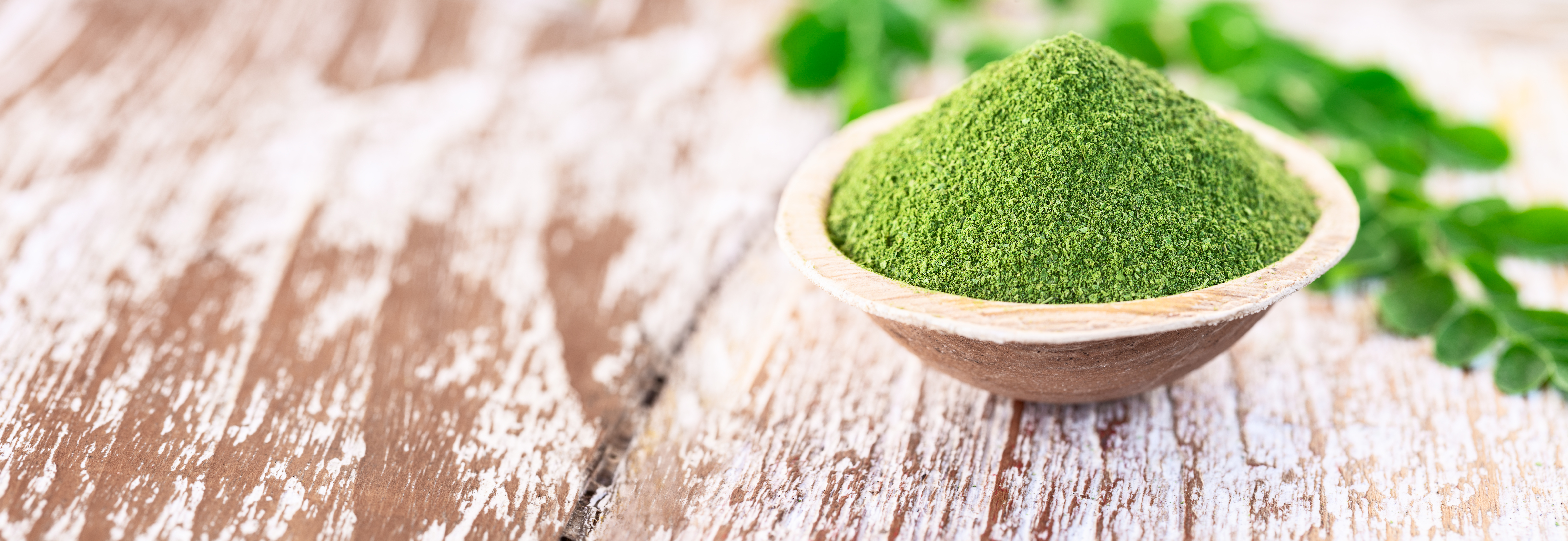 Read more about the article Moringa: A Key Ingredient in Immune IQ